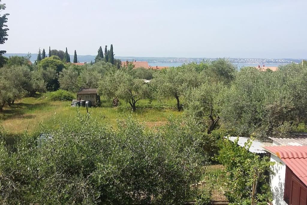 Apartma Iva Piran Exteriér fotografie